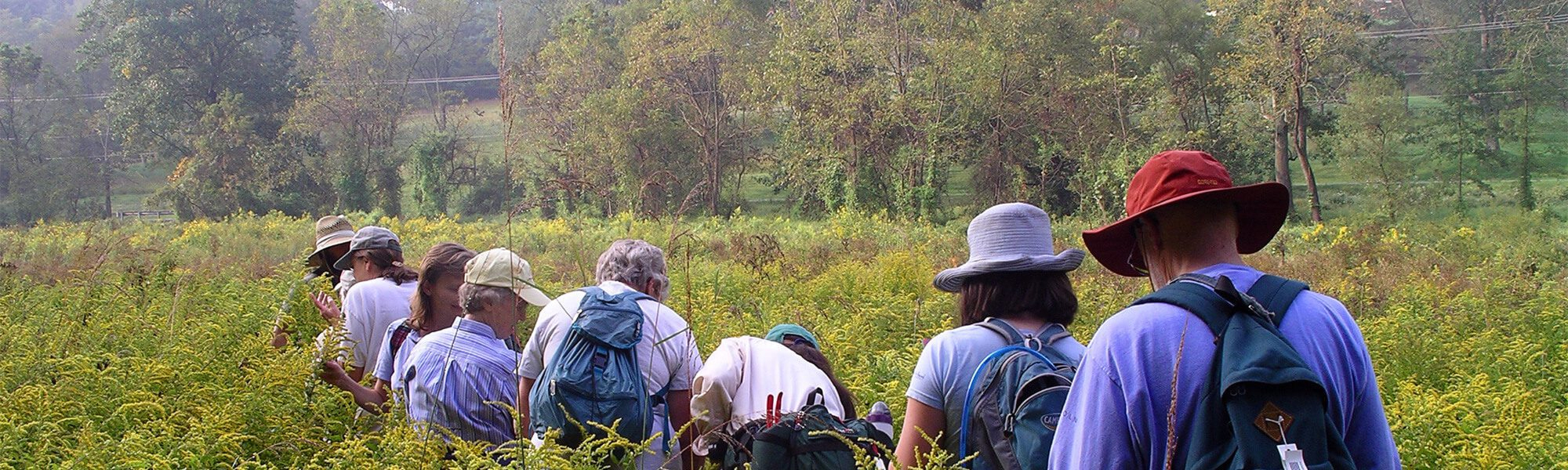 Group of people walking through tall grass during a guided nature program.