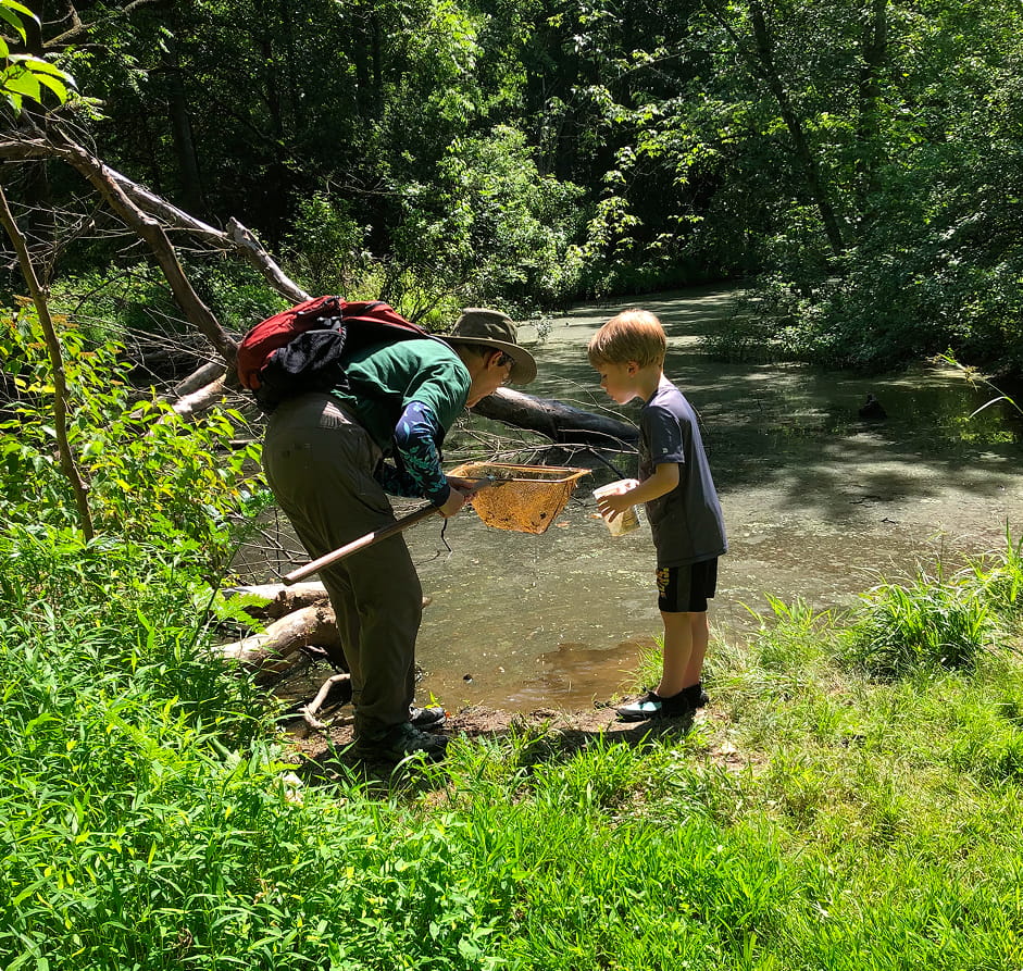 Adult and child exploring a shallow stream with nets.