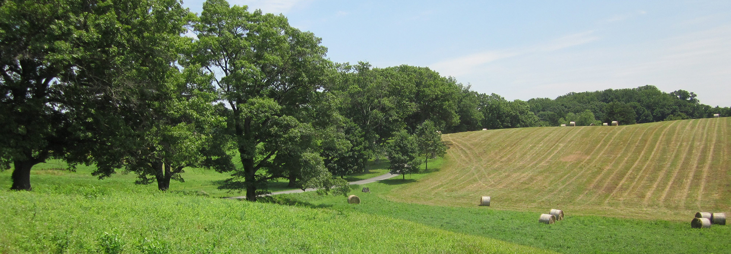 Open grassy field with trees and hills in the distance.