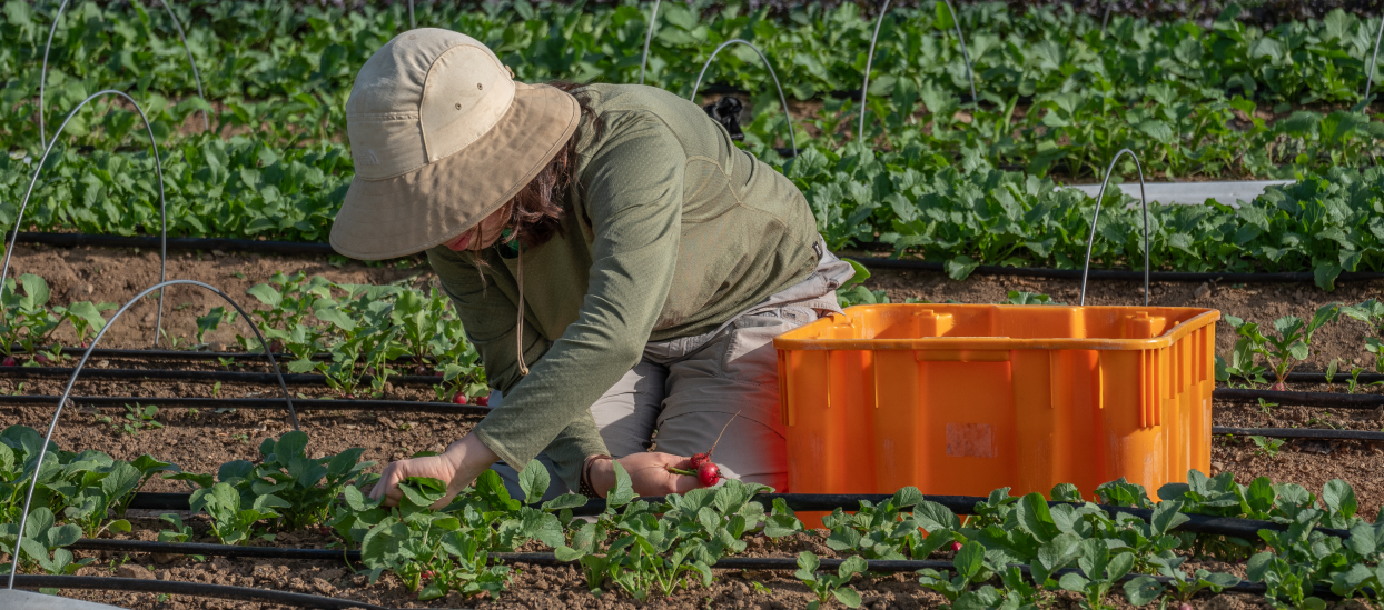 Person planting outdoors with an orange bucket nearby.