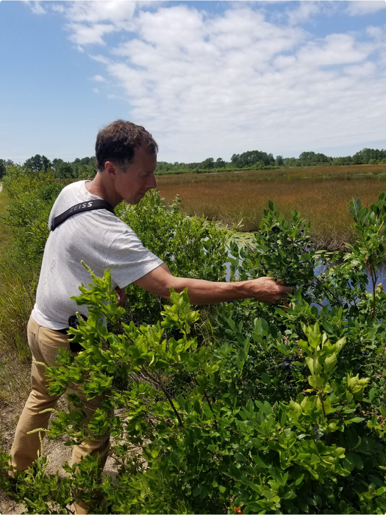 Person tending plants in a garden bed.
