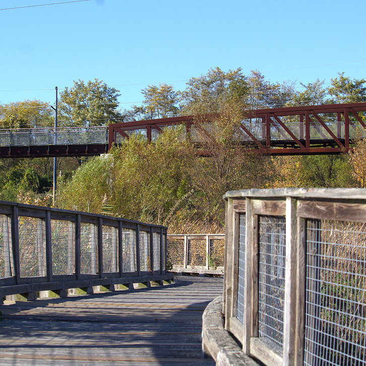 Bridge and boardwalk near a wetland area.