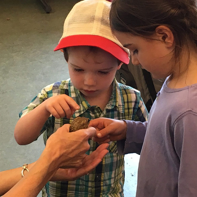 Children observing a small toad during a hands-on preschool nature activity.
