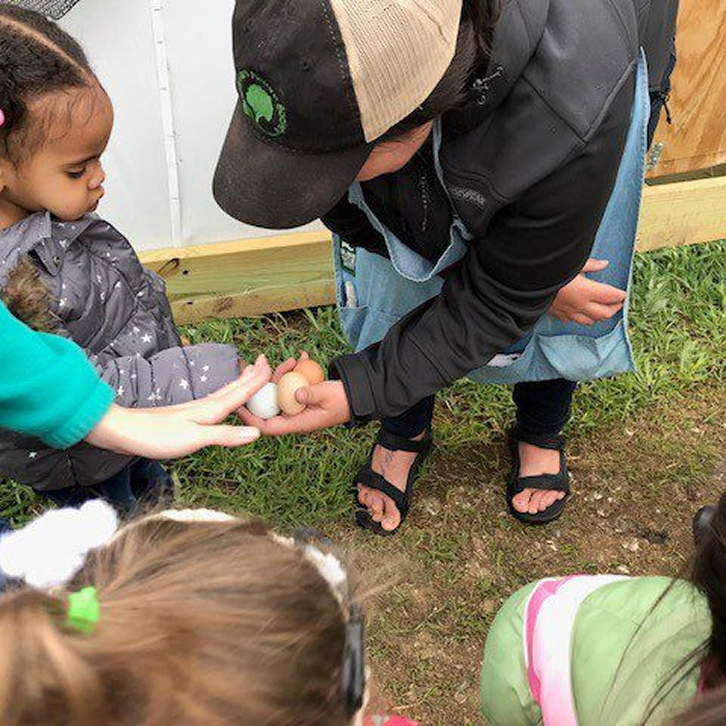 Children examining chicken eggs during a hands-on outdoor activity.