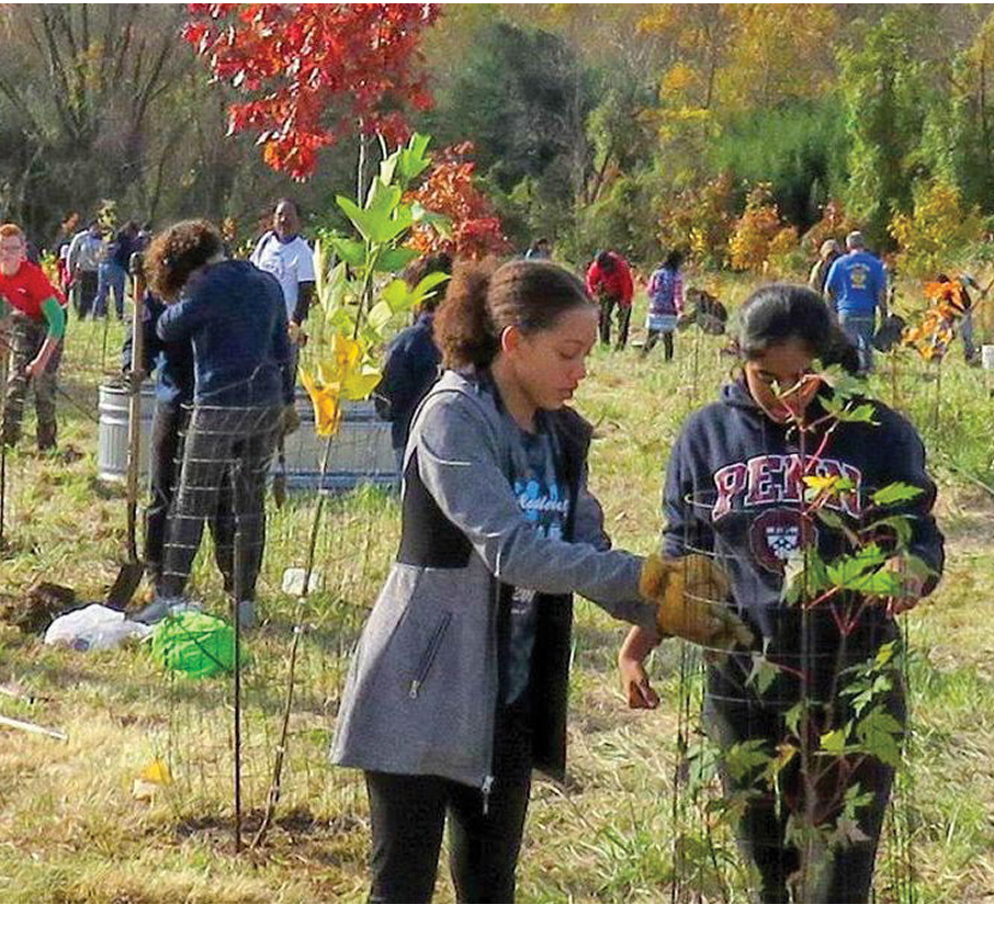 Group of people planting trees.