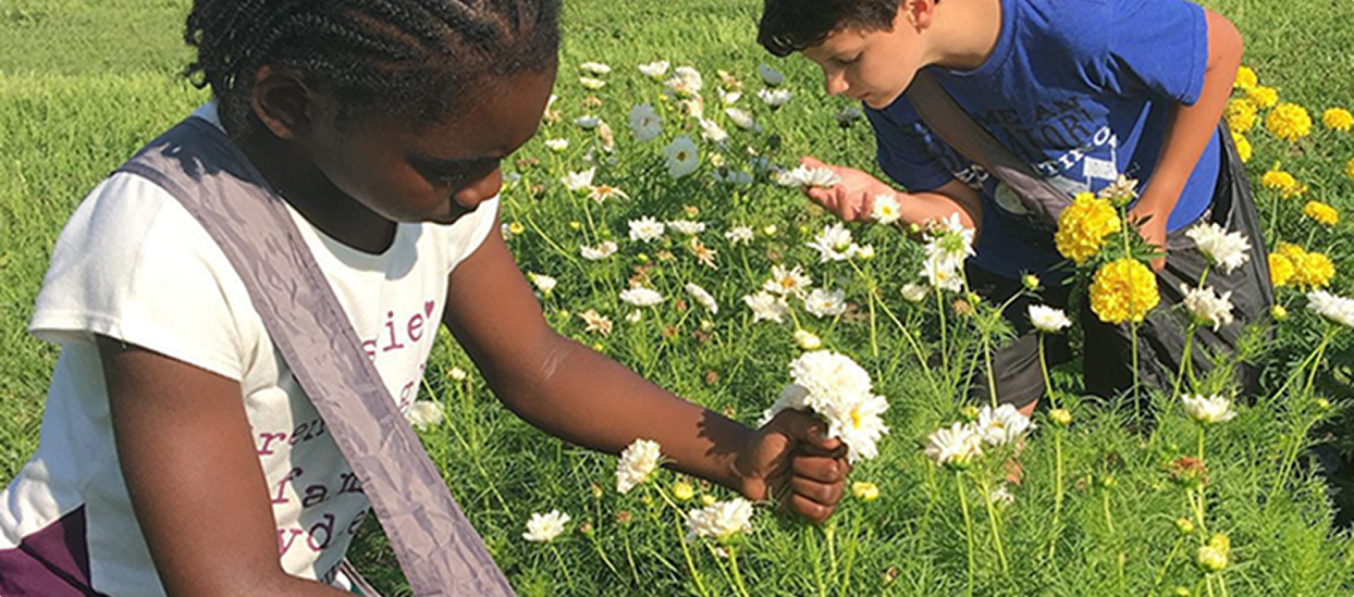 Children picking flowers in a garden.