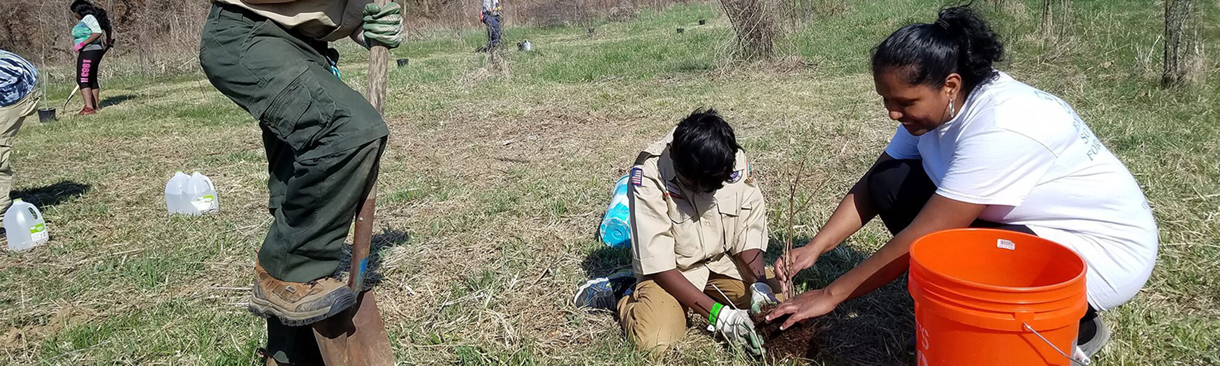 Two people planting a tree outdoors with an orange bucket.