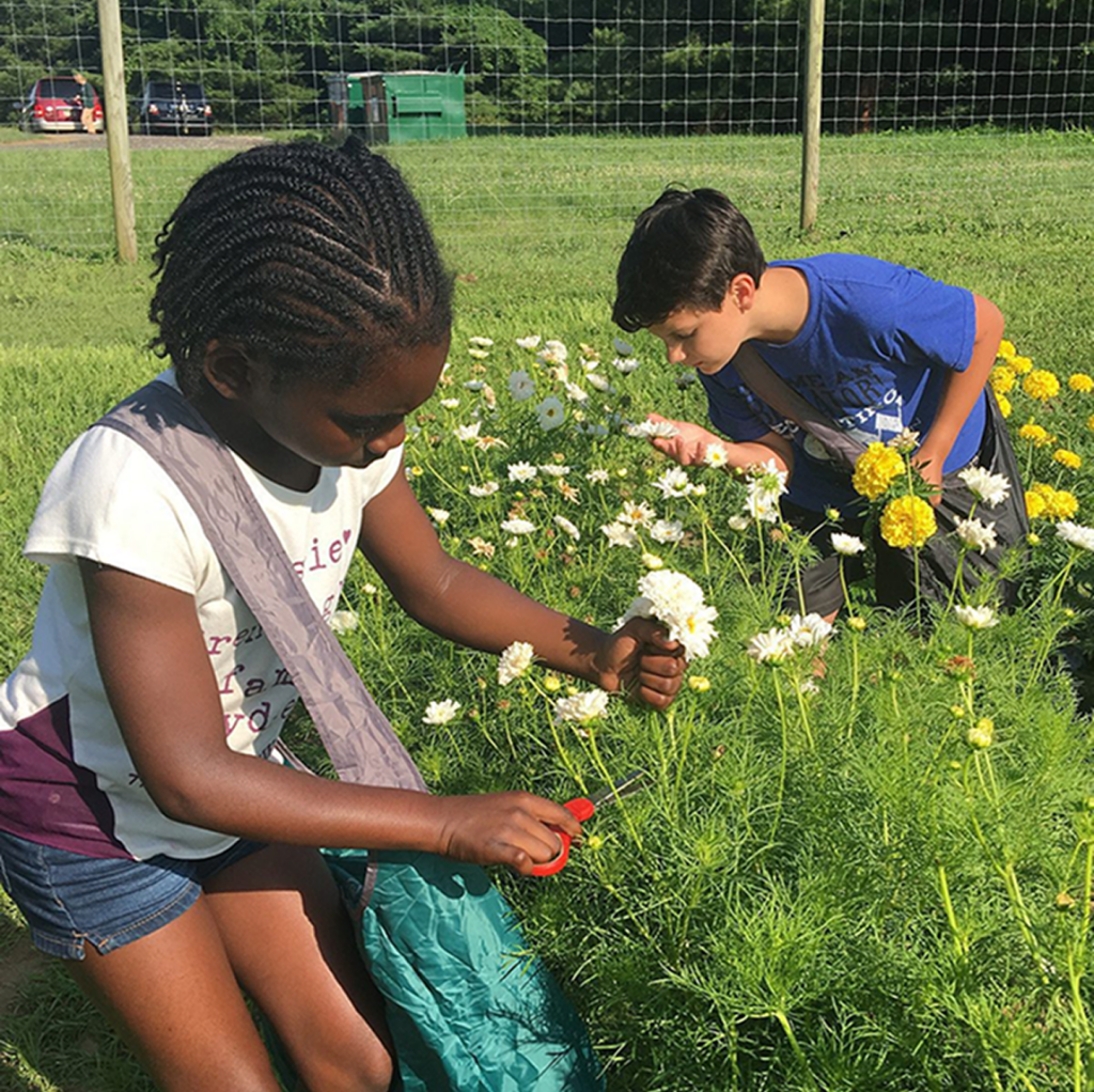 Children exploring flowers and plants outdoors.